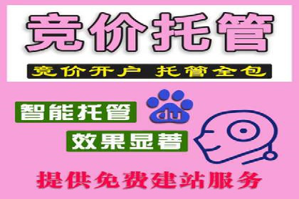 百度竞价广告成功案例集锦：如何玩转搜索引擎营销